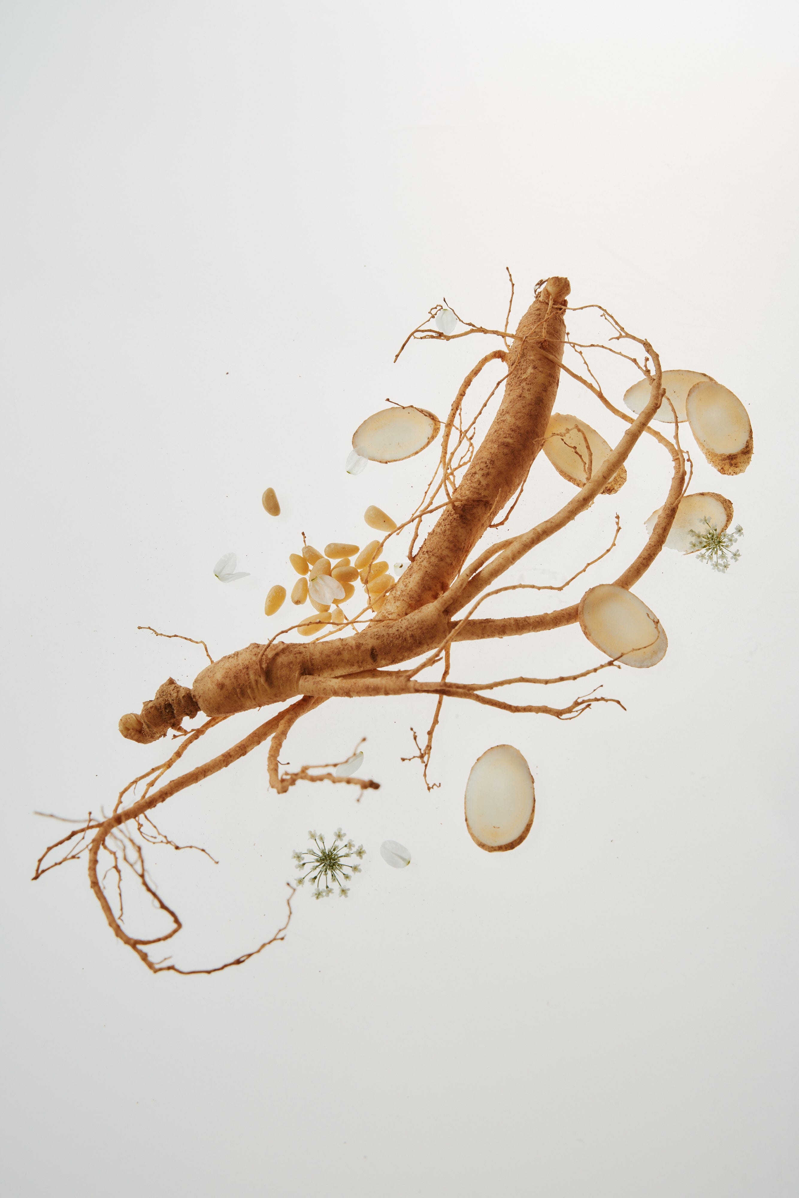 Your Ultimate Hanbang Skin Barrier Routine, Explained